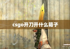 csgo开刀开什么箱子