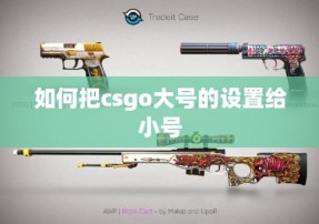 如何把csgo大号的设置给小号