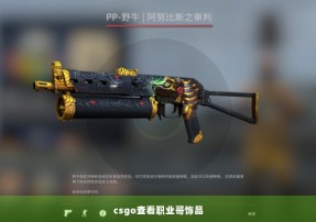 csgo查看职业哥饰品