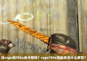 玩csgo玩75hz会卡顿吗？csgo75hz玩起来是什么感觉？