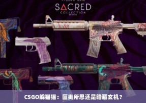 CSGO躲猫猫：匪夷所思还是暗藏玄机？