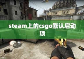 steam上的csgo默认启动项