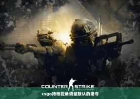 csgo持枪视角调整默认的指令