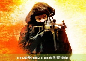 csgo2如何中文输入 (csgo2如何打开控制台)