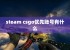 steam csgo优先账号有什么