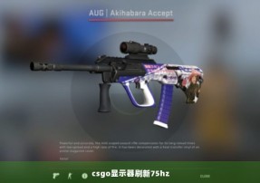 csgo显示器刷新75hz