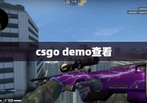 csgo demo查看