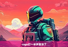 csgo打一半声音没了