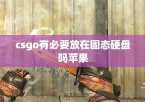 csgo有必要放在固态硬盘吗苹果