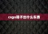 csgo箱子出什么东西