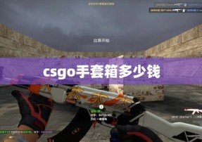 csgo手套箱多少钱