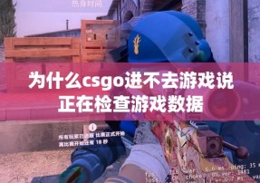 为什么csgo进不去游戏说正在检查游戏数据