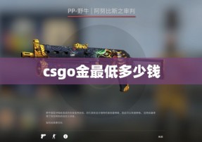 csgo金最低多少钱