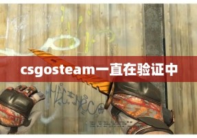 csgosteam一直在验证中