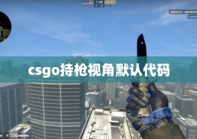 csgo持枪视角默认代码