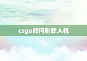 csgo如何删除人机