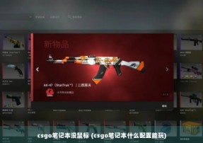 csgo笔记本没鼠标 (csgo笔记本什么配置能玩)