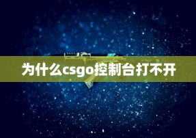 为什么csgo控制台打不开