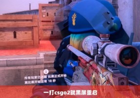 一打csgo2就黑屏重启