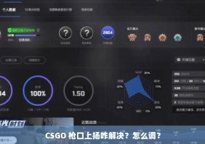 CSGO 枪口上扬咋解决？怎么调？