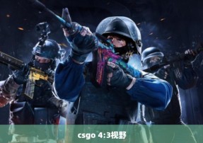 csgo 4:3视野