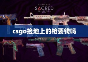 csgo捡地上的枪要钱吗