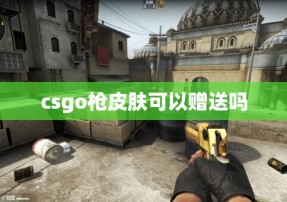 csgo枪皮肤可以赠送吗