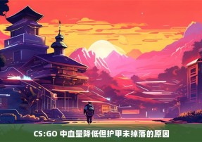 CS:GO 中血量降低但护甲未掉落的原因