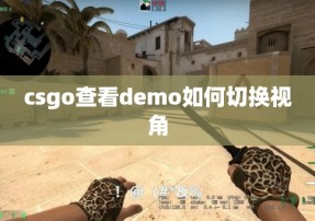 csgo查看demo如何切换视角