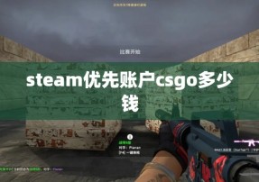 steam优先账户csgo多少钱