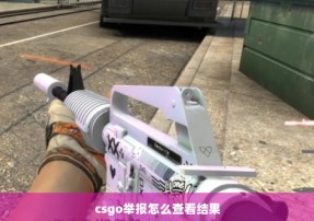 csgo举报怎么查看结果