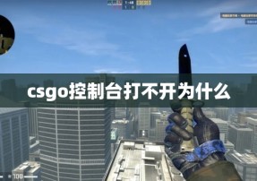 csgo控制台打不开为什么