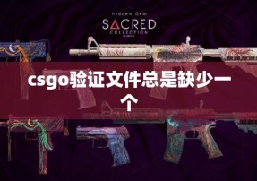 csgo验证文件总是缺少一个