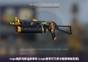 csgo新手开箱注意事项 (csgo新手打几把才能跟朋友匹配)