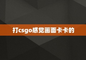 打csgo感觉画面卡卡的