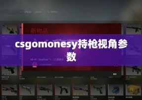 csgomonesy持枪视角参数