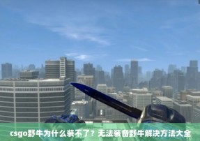 csgo野牛为什么装不了？无法装备野牛解决方法大全