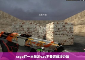 csgo打一半跳出vac不兼容解决办法