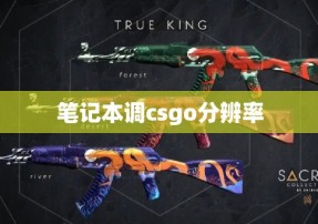 笔记本调csgo分辨率