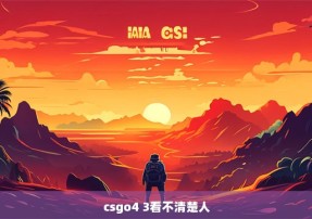 csgo4 3看不清楚人