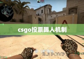 csgo投票踢人机制