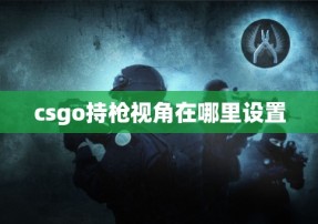 csgo持枪视角在哪里设置