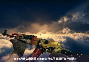 csgo为什么武器贵 (csgo为什么不能跟好友一起玩)