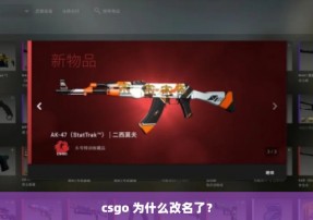 csgo 为什么改名了？