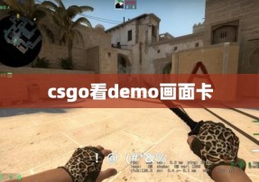 csgo看demo画面卡