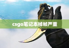 csgo笔记本掉帧严重