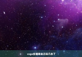 csgo在哪看自己玩几年了