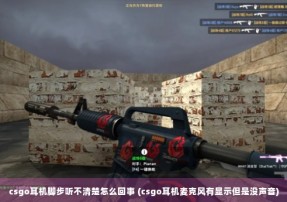 csgo耳机脚步听不清楚怎么回事 (csgo耳机麦克风有显示但是没声音)