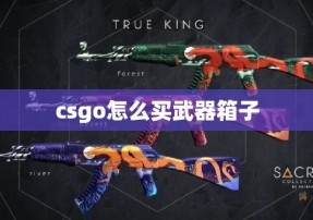 csgo怎么买武器箱子