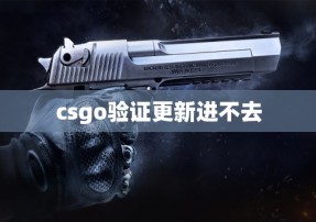 csgo验证更新进不去